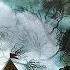 Forest Of The Werewolf Horror Rain Scary Sounds ASMR Ambience Halloween Haunted Forest 4K