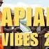 Amapiano Summer Vibes 2025 Mix By DJ DENNY HUS Ft LEEMCKRAZY FOCALISTIC SCOTS MAPHUMA Ft And More