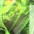 Beenie Man Put It Drugs Riddim Dec 2015