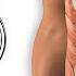 Abs Workout How To Have Six Pack Level 2