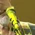 Chris Rea Looking For The Summer Live Baloise Session 2017