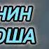 Аудиокнига ПОПАДАНЦЫ В ПРОШЛОЕ ДВОРЯНИН БЕЗ ГРОША