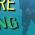 Underwater Metal Detecting On A Tropical Beach 2 Rings And More