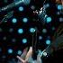 Oh Rose Full Performance Live On KEXP