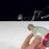 How To Make Smoke Ring With A Bottle Short Video Experiment Youtubeshorts Shorts