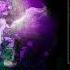 Hazem Beltagui Something Inside Taken From VIVID