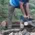 Clay Log In The Wild Forest Building A House From Firewood