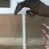 Rande VU RUSSEL II X BALOUBET DU ROUET Born 2015