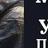 Угомонить мысли Убрать Присоски и Сущности с Головы Восстанавливаем психологическое состояние