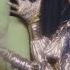 SOKO Are You A Magician Official Video