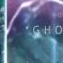 Divitius Ghost Hunter Official