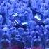Kanye West Sunday Service November 10 2019 Hallelujah Salvation And Glory