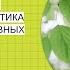 ЕГЭ по биологии Занятие 9 Царство Растения Общая характеристика тканей и вегетативных органов