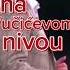Vicic Nivo Vicuc Sns