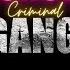 The Psychology Of Criminal Gangs I Group Dynamics I Deviant Behavior