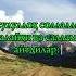 Sovchilik Haqida Hadis Hadislar Hijab Live
