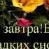 ПУСТЬ АНГЕЛЫ ОБЕРЕГАЮТ ВАШ СОН ДОБРОЙ НОЧКИ