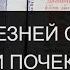 ОТ БОЛЕЗНЕЙ СЕРДЦА И ПОЧЕК ПСАЛМЫ