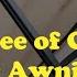 How To Fix A Carefree Of Colorado RV Power Awning That Binds