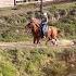 Visiting BRUTA DA ROÇA What A Beautiful Place And Beautiful Animals