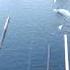 Dji Phantom 3 Wakeboard I Limhamn