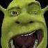 Different Laughs Different Shrek Lol