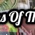 Thrift Haul Charity Shop Haul Car Boot Sale Haul Poundland Tesco Bargains Kate McCabe