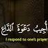 Quotes Saudiarabia India