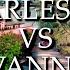 Charleston VS Savannah Which City To Visit