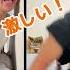 隣人の筋トレ音をあれの音と勘違いする男 筋トレ プロテイン 隣人トラブル