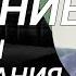Падение системы образования Эстонии Radio Narva 357