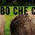 Сонник Сено приснилось к чему снится во сне Сено