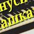 Минуси Ало нашкана гул 2021