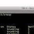Saving Bandwidth With VTP Pruning