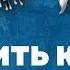Приучить к взрывам как отучить собаку бояться фейерверков и петард