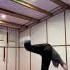 Recreating Shadow Fight Moves Which Game Next Shorts