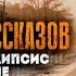 Сборник рассказов Александра Шишковчука Сборка 4 Трэш безумие и не только постапокалипсис