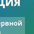 Медитация 1 Успокоение нервной системы Для начинающих