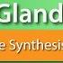 Thyroid Gland Thyroid Hormone Synthesis