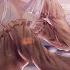 Nightcore I Should Have Known Nathan Pelupessy Lyrics