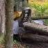 Over The Hill And Through The Woods Hardwoodlogs Logging Hardwoodproducts Logstolumber Forest