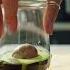 You Ve Been Slicing Avocados Wrong Your Whole Life