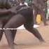 Franc Vs Ibou Ndiaye Oboli