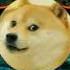 Alan Walker Flying Dreams Music Video Doge