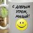 Доброе утро Любимый мой