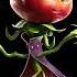 Plants Vs Zombies Garden Warfare 2 Rose Voice Clips