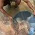 Wow Found A Very Deep Marl Soak Containing White Material And Lots Of Gold Grains In It