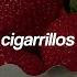 Troye Sivan Strawberries Cigarettes Sub Español