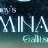 LUMINARY REMIX