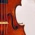 Violoncello Da Spalla Why It Is The Best Time NOW And How To Start